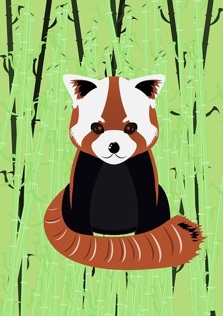 Firefox: Mój Cyfrowy Kameleon – Jak Przeglądarka Ewoluowała Wraz Ze Mną (i Moim Portfelem)