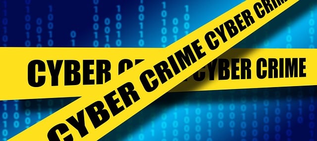 Polowanie na Delfiny: Jak elitarny phishing atakuje bogatych i znanych